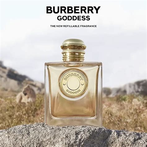 burberry gold perfume review|burberry goddess frangrance net.